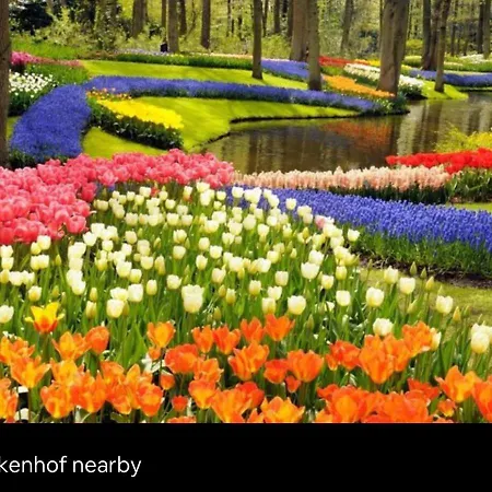 Cozy Tiny House With Jacuzzi , Garden And Free Parking Near Amsterdam Horská chata Vijfhuizen