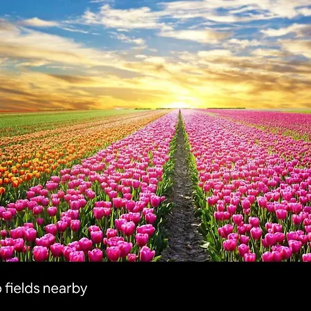 Horská chata Cozy Tiny House With Jacuzzi , Garden And Free Parking Near Amsterdam