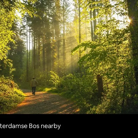 Chalet “New tiny house in Vijfhuizen” Vijfhuizen