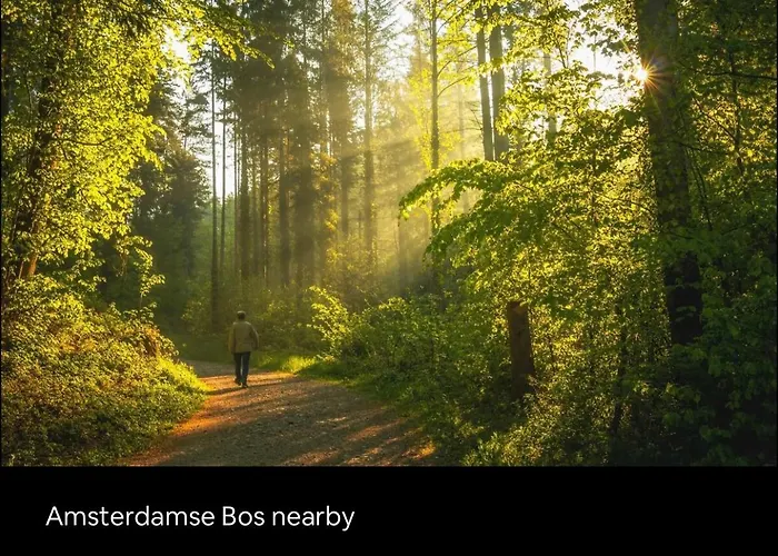 Chalet “New tiny house in Vijfhuizen” Vijfhuizen