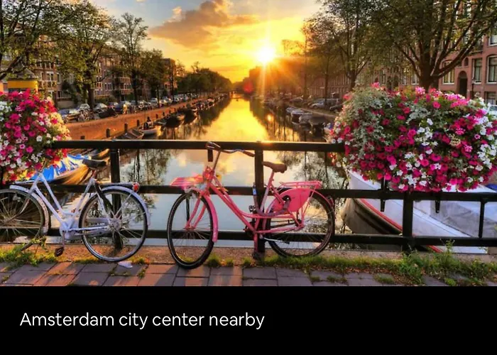 Chalet “New tiny house in Vijfhuizen”