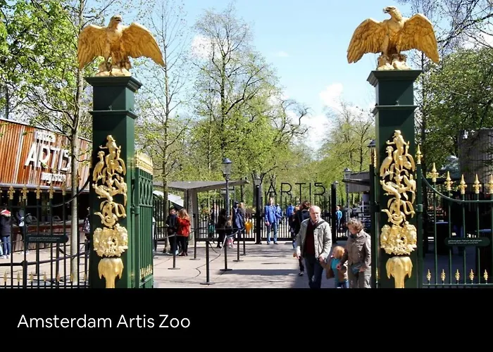 “New tiny house in Vijfhuizen” *