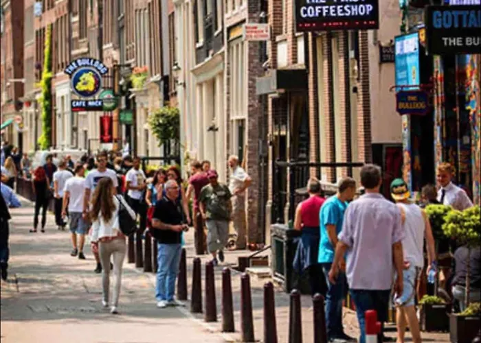 “New tiny house in Vijfhuizen” * Vijfhuizen