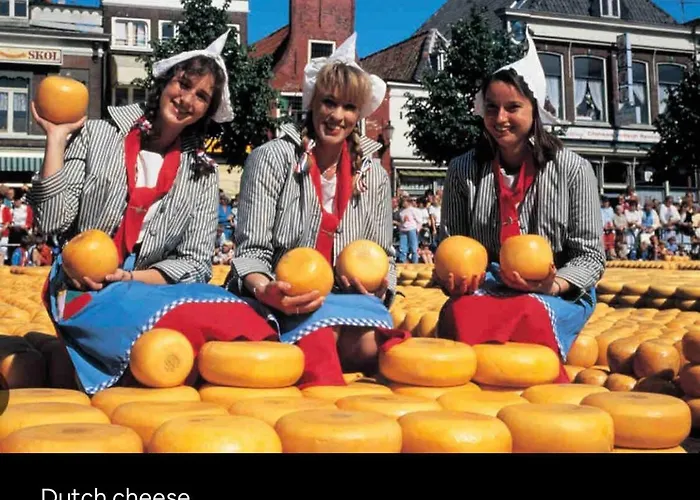 “New tiny house in Vijfhuizen” Chalet Vijfhuizen