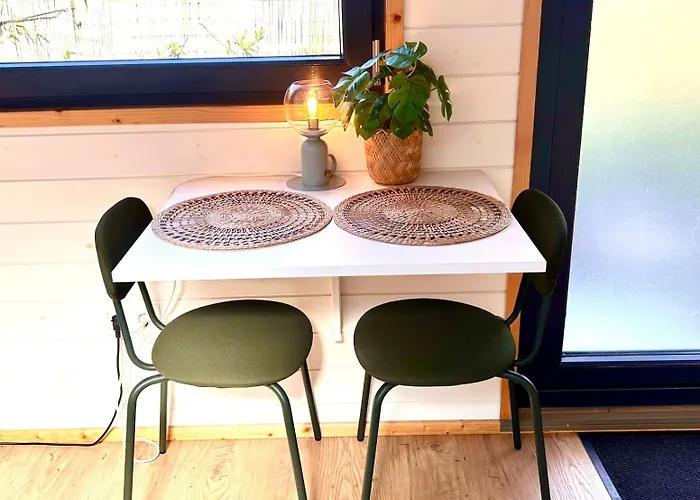 “New tiny house in Vijfhuizen” Chalet